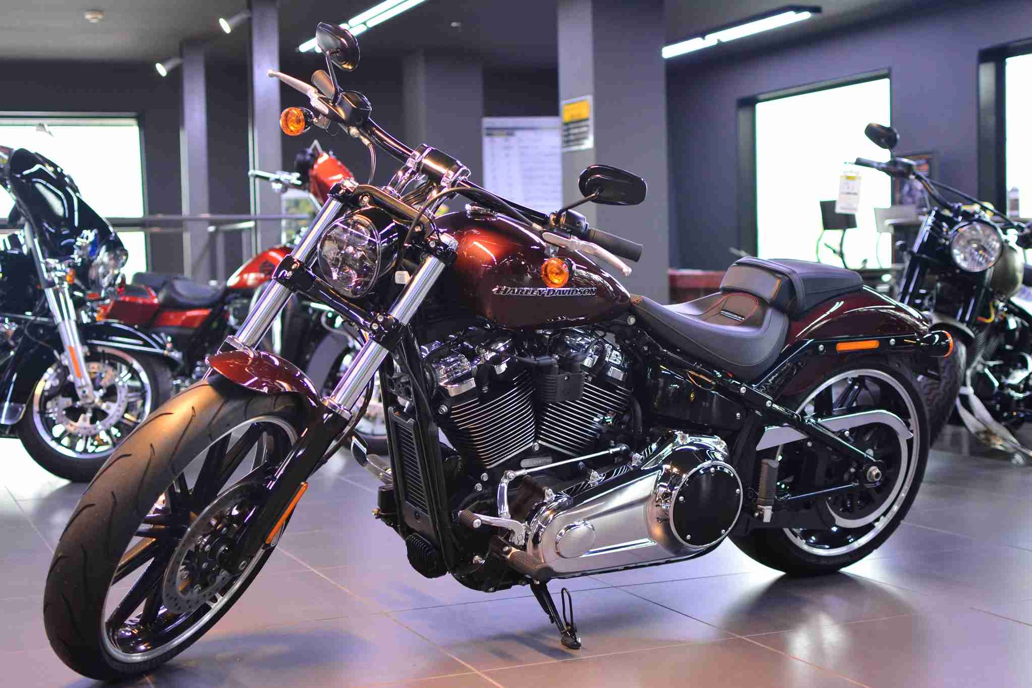 ハーレー・ダビッドソン/FXBR バイク探し | U-MEDIA (ユーメディア ...